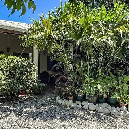 Casa Oasis In The Center Of Puerto Jimenez Villa Exterior photo