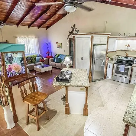 Casa Oasis In The Center Of Puerto Jimenez Villa Exterior photo
