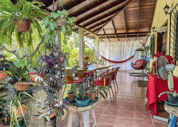 Casa Oasis In The Center Of Puerto Jimenez