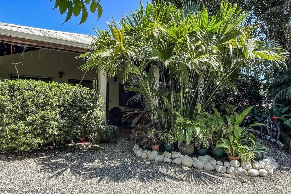 Villa Casa Oasis In The Center Of *