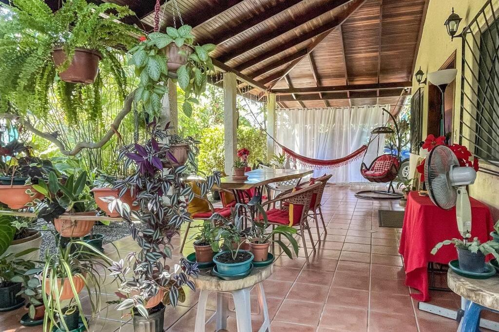 Casa Oasis In The Center Of