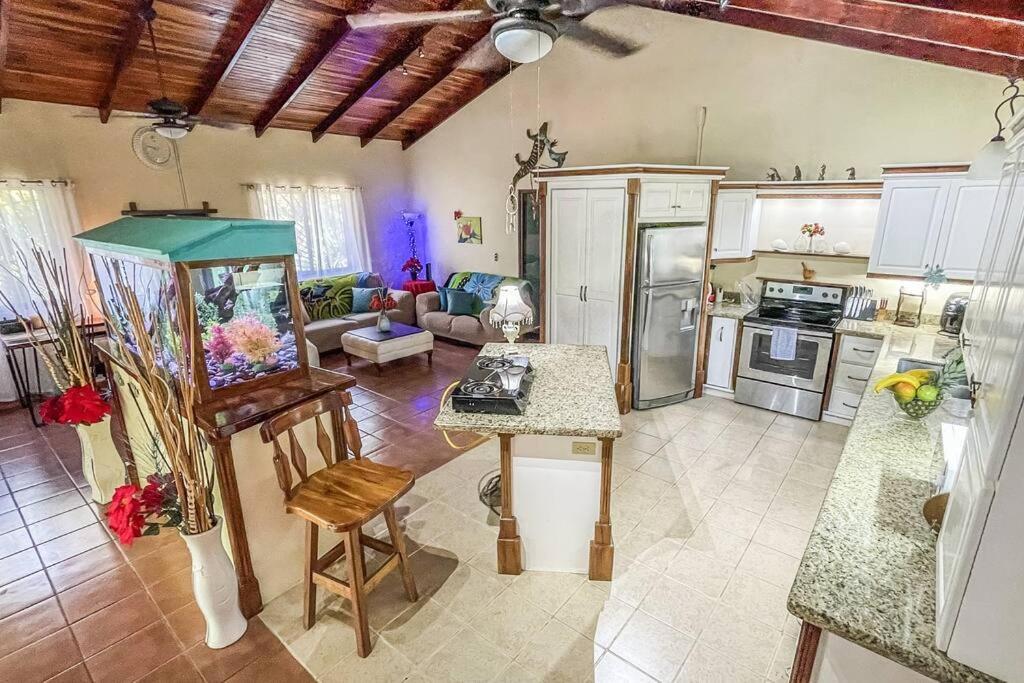 Casa Oasis In The Center Of