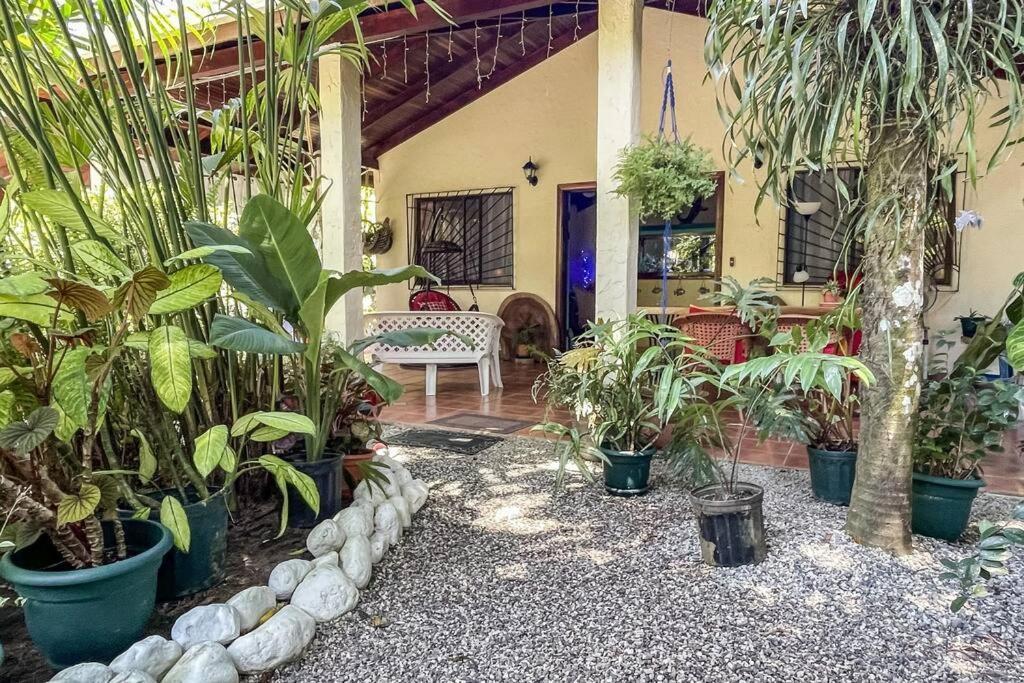 Casa Oasis In The Center Of * Puerto Jimenez