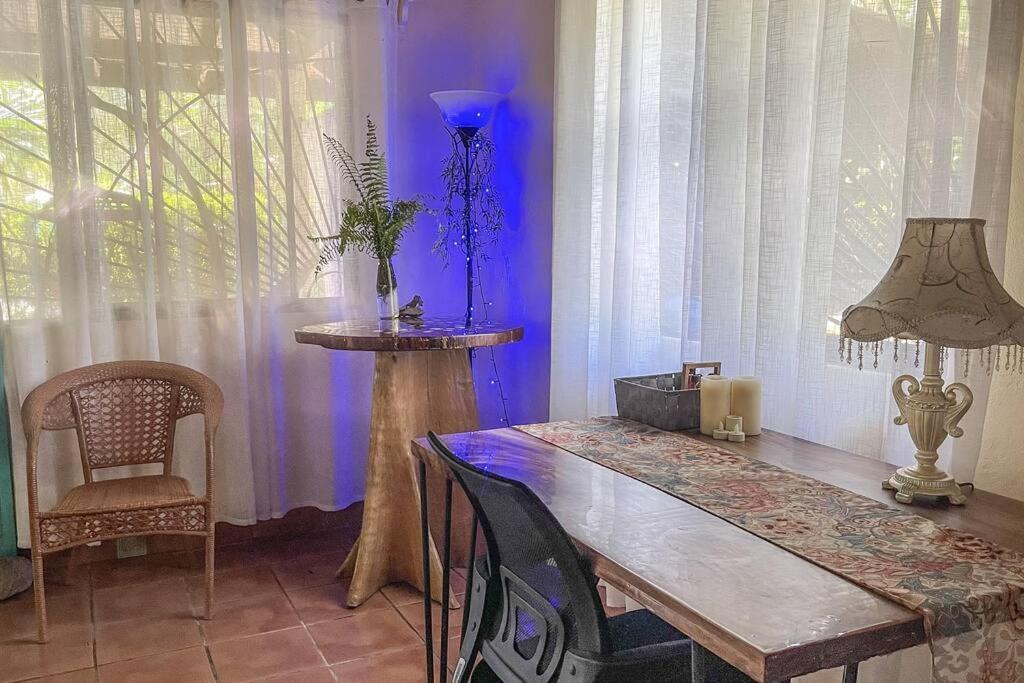 Casa Oasis In The Center Of