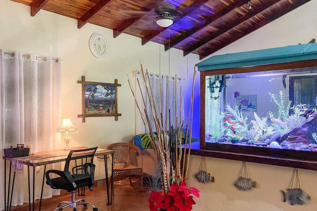 Casa Oasis In The Center Of Villa
